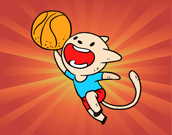 Gato jugando a baloncesto