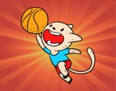 Gato jugando a baloncesto