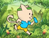 Gato runner