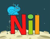 Nil