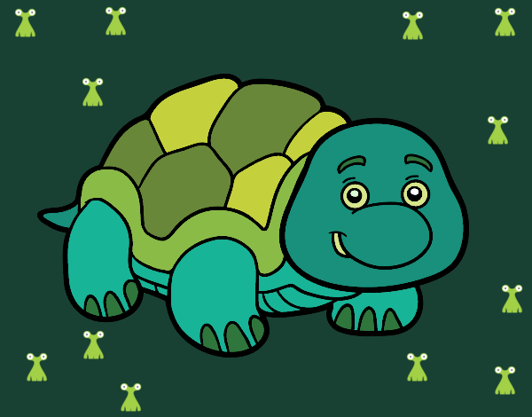 Tortuga de tierra