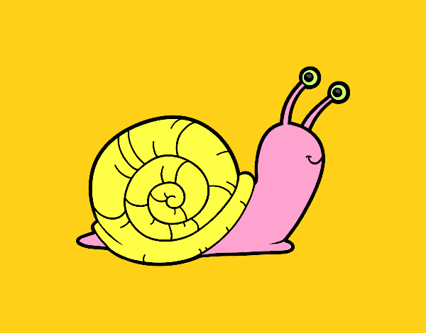 El caracol