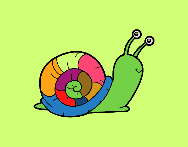 CARACOL