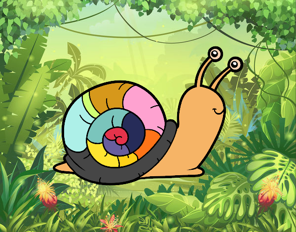 El caracol