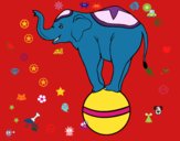 Dibujo Elefante equilibrista pintado por abicabrera