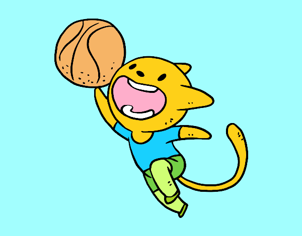 Gato jugando a baloncesto