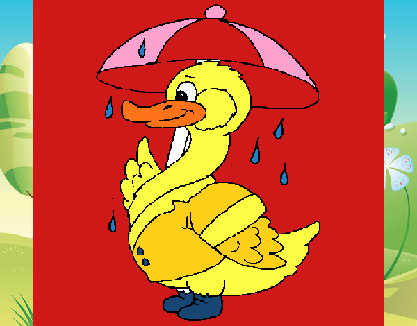 Pato bajo la lluvia