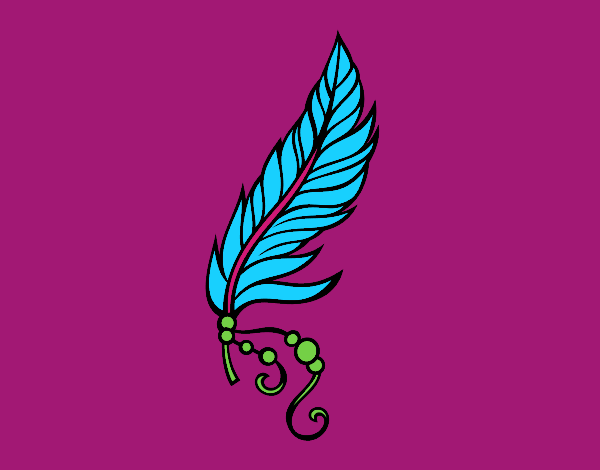 Pluma apache