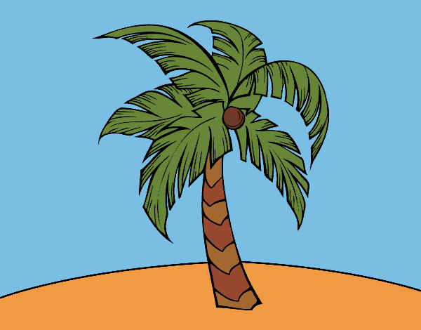 Una palmera