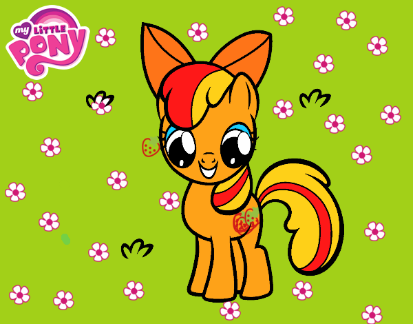 Apple bloom