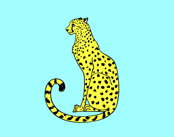 dibujo de leopardo