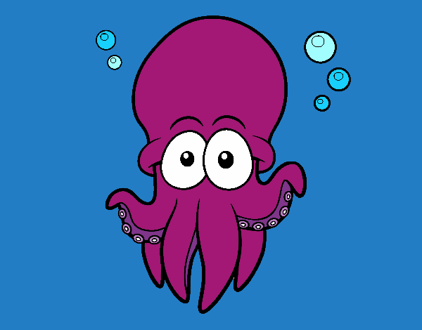 Pulpo rojo