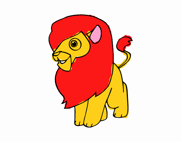 Un león