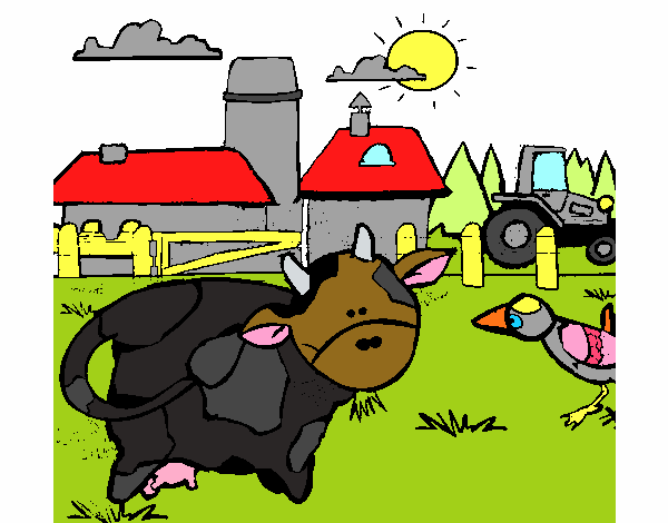 Vaca en la granja