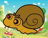 Caracol bebé