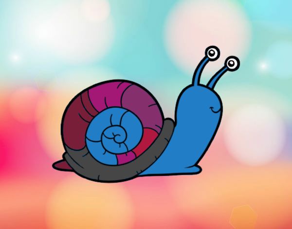 El caracol