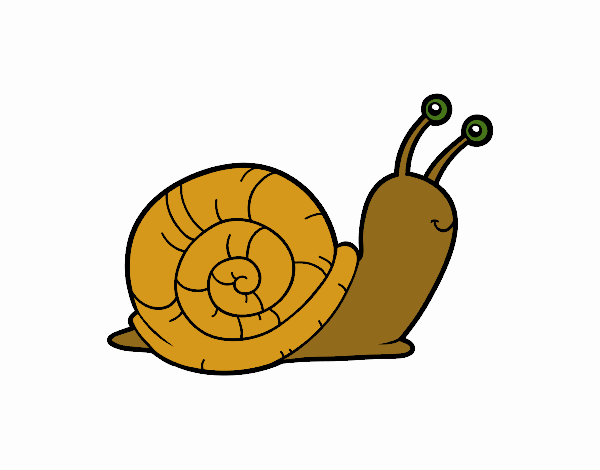 El caracol