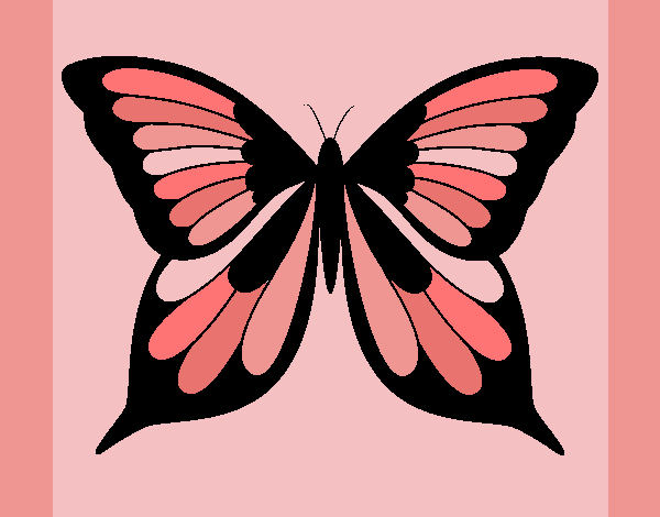 Mariposa 8