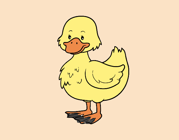 Patito de granja