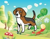 Perro Beagle