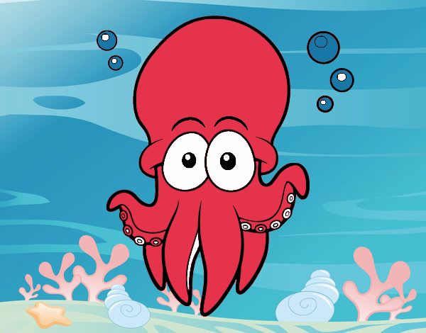 Pulpo rojo