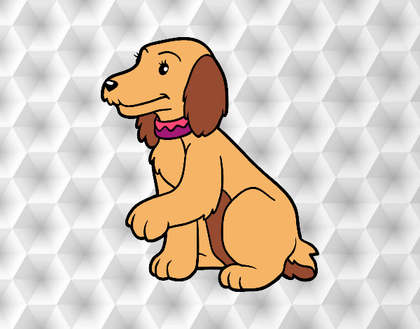 PERRO COCKER SPANIEL