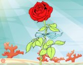 Dibujo Una rosa pintado por Michellinh