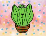 Cactus gato