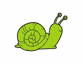 El caracol