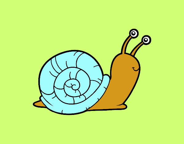 El caracol