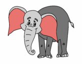 Elefante feliz