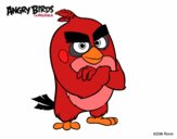 Red de Angry Birds