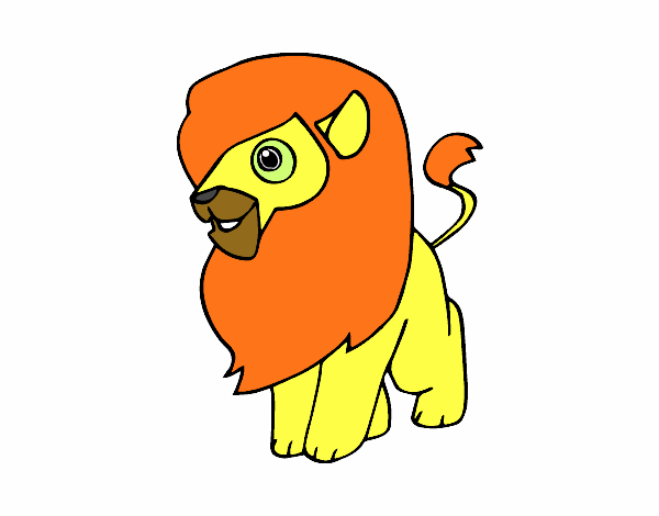 Un león