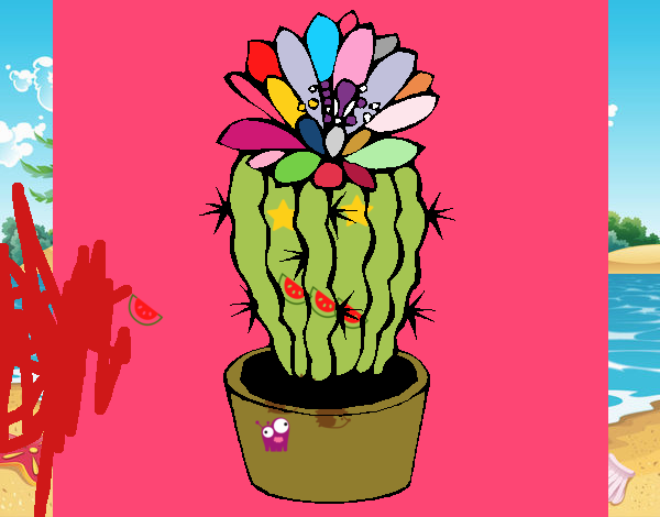 Cactus con flor