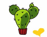 Cactus nopal