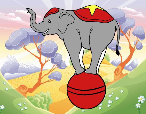 Elefante equilibrista