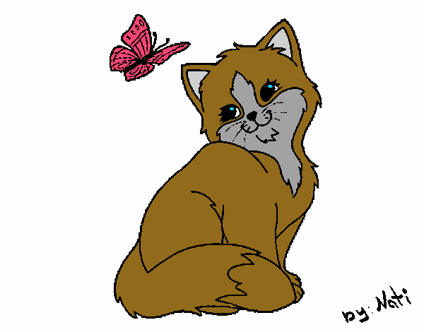 Gatito y mariposa