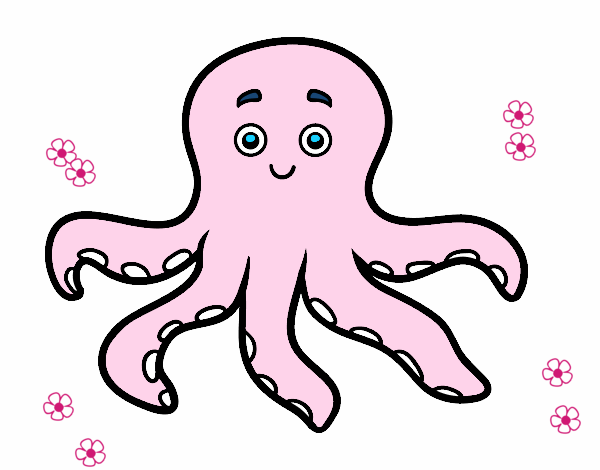 Pulpo infantil