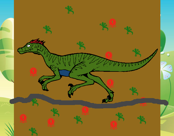 Velociraptor