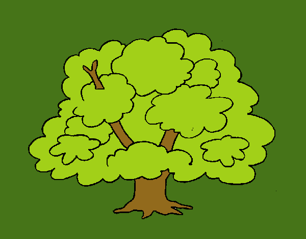 Árbol