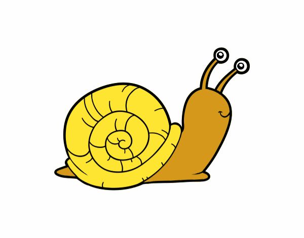 El caracol