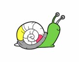 El caracol