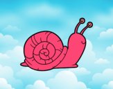 El caracol