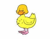 Patito de granja