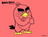 Red de Angry Birds