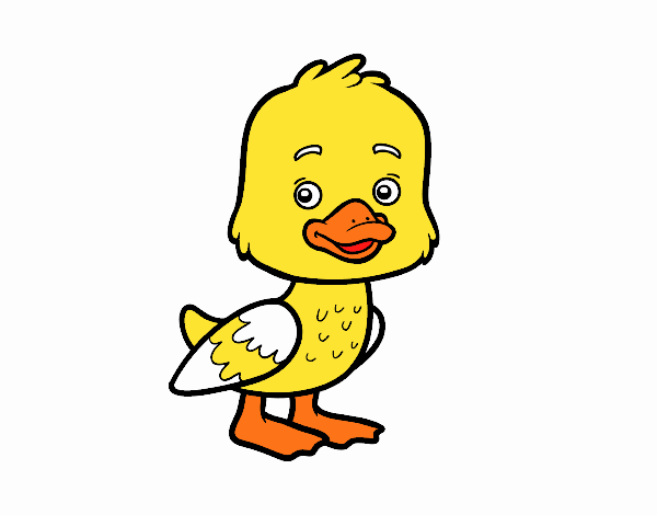 Un patito