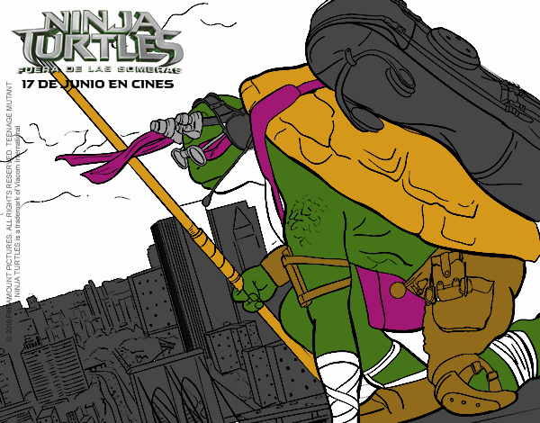 Donatello de Ninja Turtles