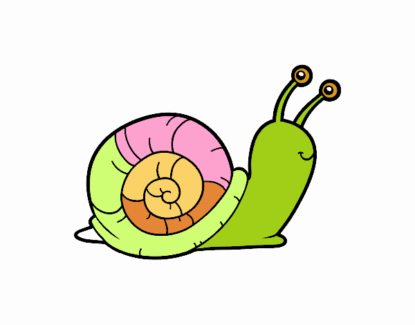 El caracol