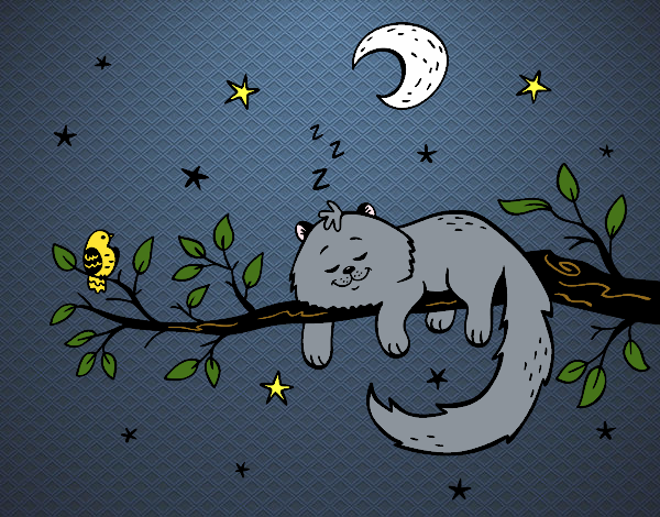 El gato y la luna