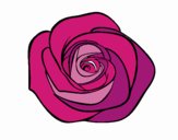 Flor de rosa